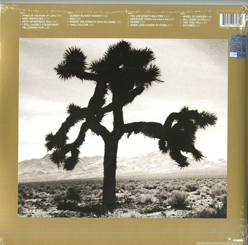 U2 - The Best Of 1980 1990 (180 Gr. Remastered) - Lp