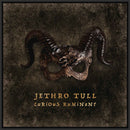 Jethro Tull - Curious Ruminant - CD