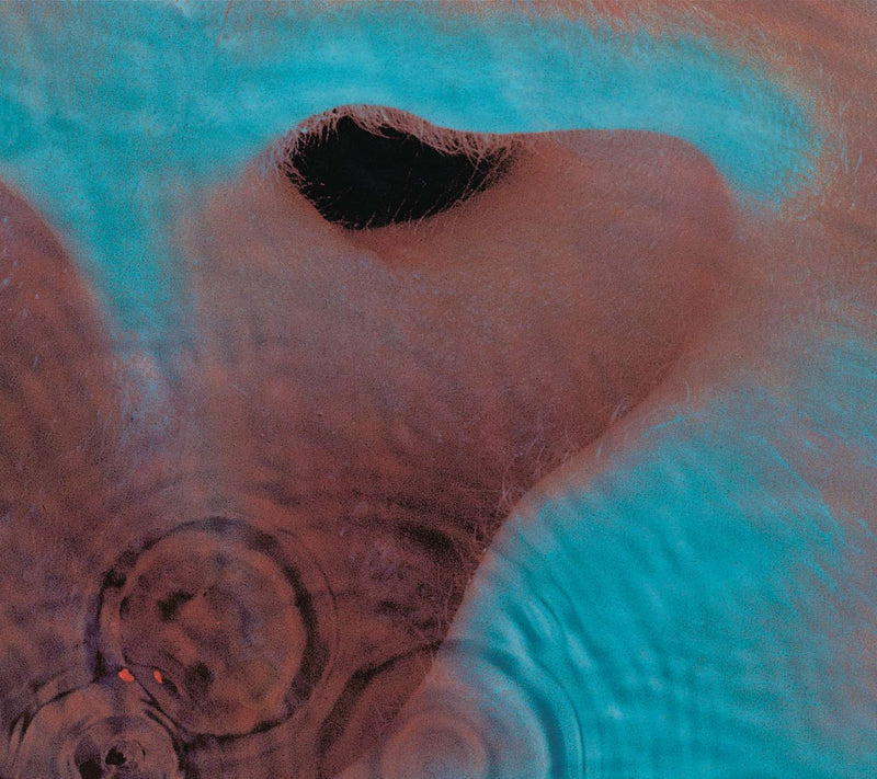 Pink Floyd - Meddle - CD