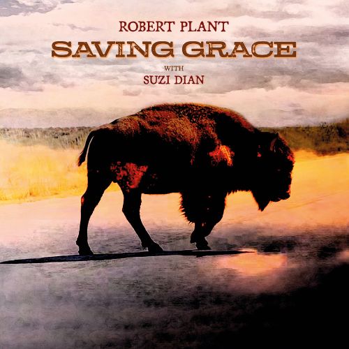 Plant Robert - Saving Grace Cd - CD