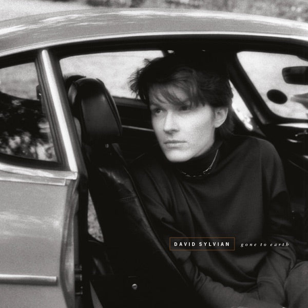 SYLVIAN DAVID - GONE TO EARTH (Vinyl White Brown Opaque Black) (2003 Remastered) - LP