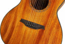 Chitarra Acustica Auditorium Bromo BAT2M Natural