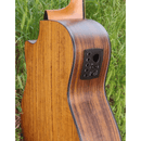 CHITARRA ACUSTICA AMPLIFICATA - VERMONT G120CE-N
