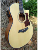 CHITARRA ACUSTICA AMPLIFICATA - VERMONT G120CE-N