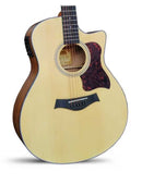 CHITARRA ACUSTICA AMPLIFICATA - VERMONT G120CE-N