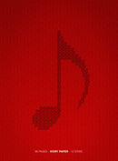 QUADERNO PENTAGRAMMA A4 64 PAGINE 12 RIGHI BIANCO