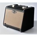 AC60 - AMPLIFICATORE CHITARRA EKO