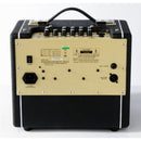 AC60 - AMPLIFICATORE CHITARRA EKO