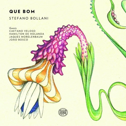 STEFANO BOLLANI  - QUE BOM