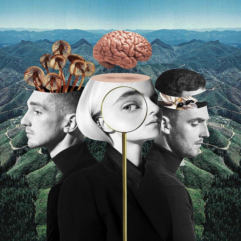 CLEAN BANDIT - WHAT IS LOVE?