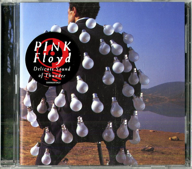 Pink Floyd - Delicate Sound Of Thunder (2 Cd)