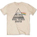 PINK FLOYD - PYRAMIDS