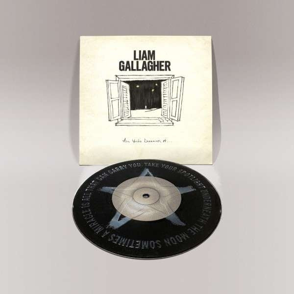 GALLAGHER LIAM - ALL YOU'RE DREAMING OF - 7'' ETCHED VINYL LTD.ED. - LP