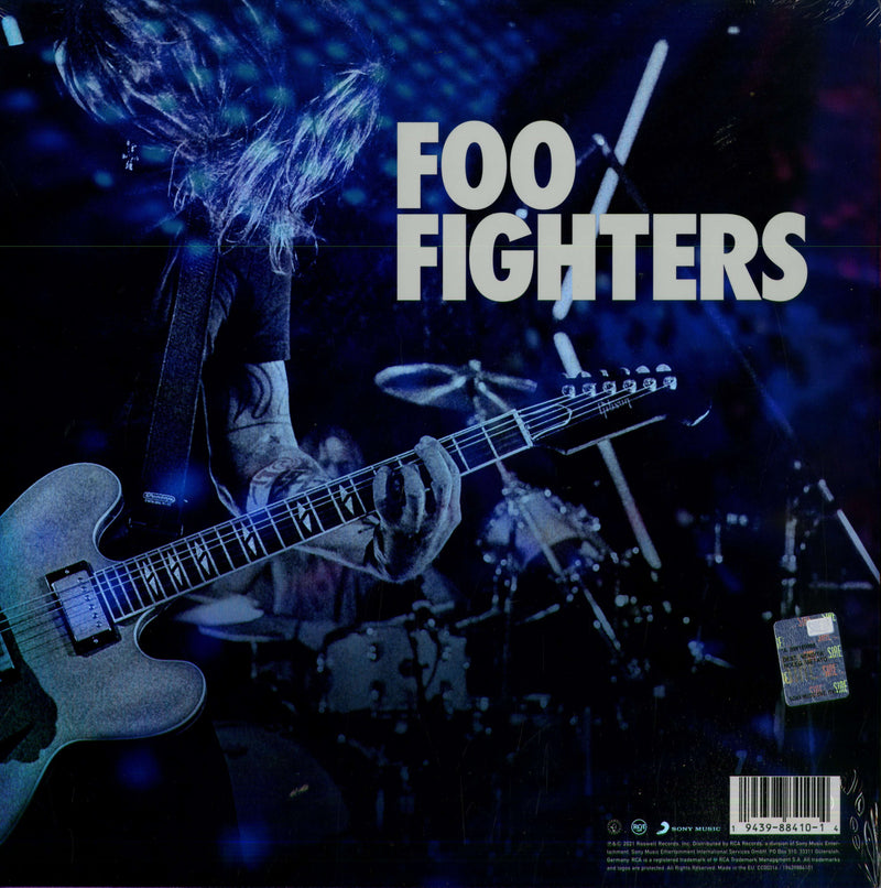 DEE GEES (FOO FIGHTER) - HAIL SATIN - LP