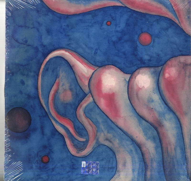 KING CRIMSON - IN THE COURT-2LP 200 GR - LP