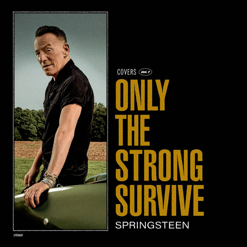 SPRINGSTEEN BRUCE - ONLY THE STRONG SURVIVE - CD